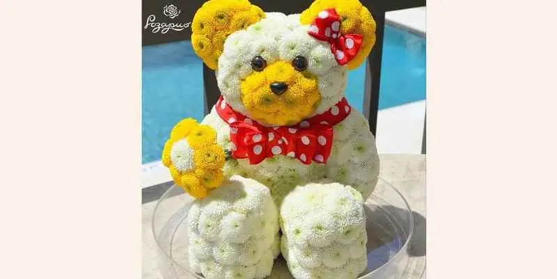 Николь